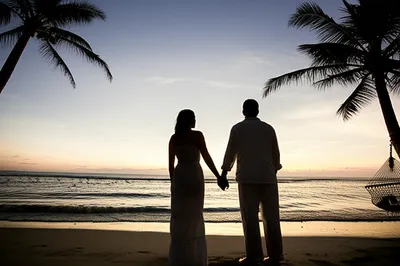 Illustration honeymooned