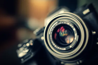 Illustration prime - Image 1