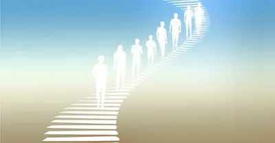 Illustration vp - Image 1