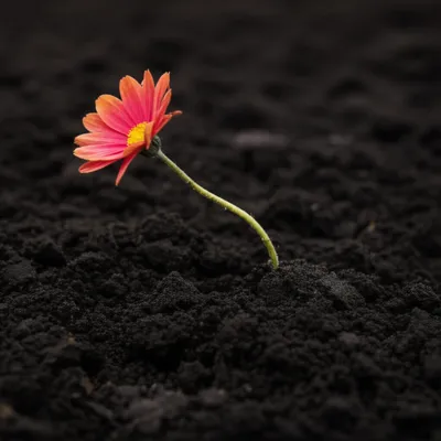 Illustration smother - Image 1