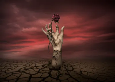 Illustration woe - Image 1