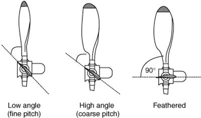 Illustration feather - Image 2