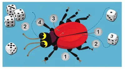 Illustration beetle - Image 1