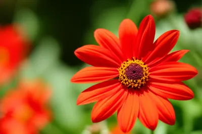 Illustration background - Image 1