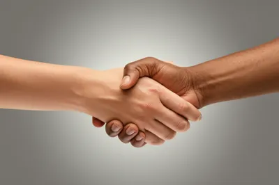 Illustration bipartite - Image 1