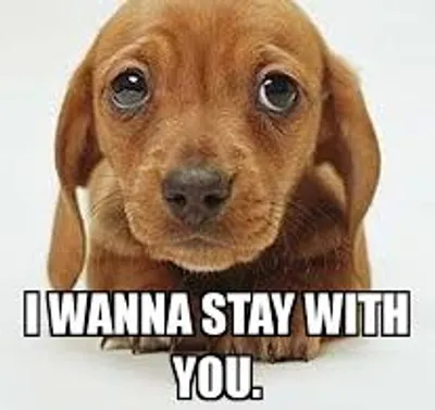 Illustration linger - Image 2