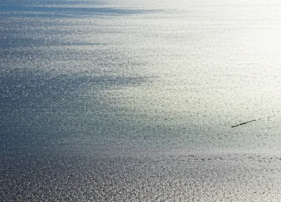 Illustration blinding - Image 1