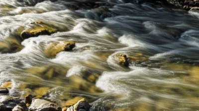 Illustration riffling - Image 1