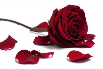 Illustration kill - Image 1