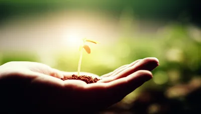 Illustration cures - Image 1