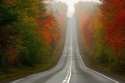 Illustration prolonging - Image 1