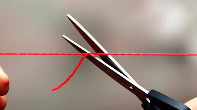 Illustration snip - Image 1