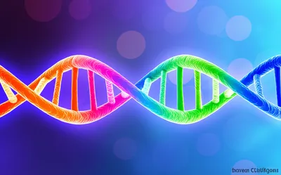 Illustration copies - Image 1