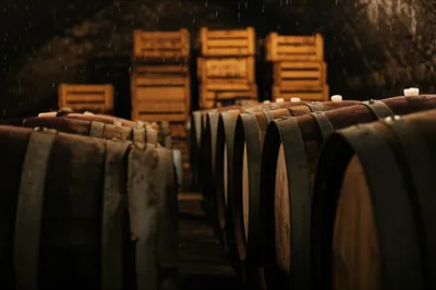 Illustration stales - Image 1