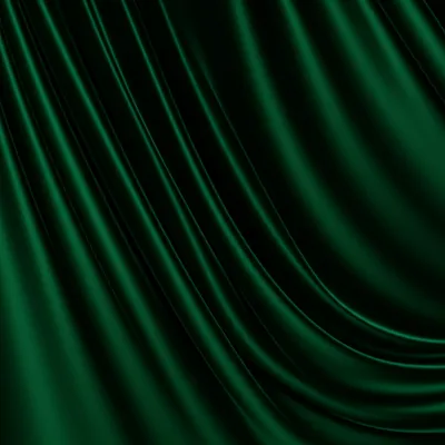 Illustration swagged - Image 1