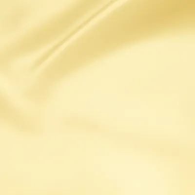 Illustration champagne - Image 1