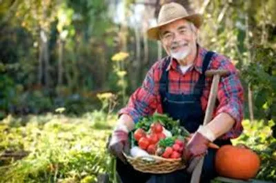 Illustration farmer - Image 2