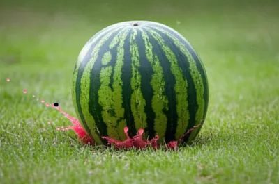 Illustration thud - Image 1