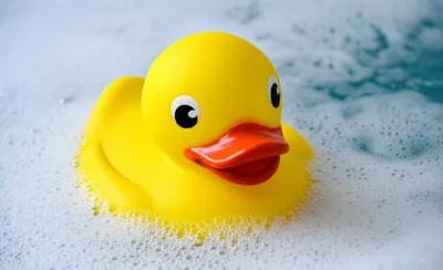 Illustration ducky - Image 1