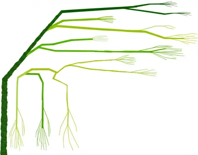 Illustration section - Image 1