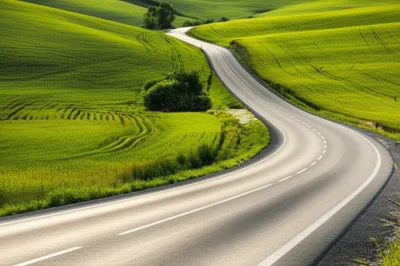 Illustration curving - Image 1