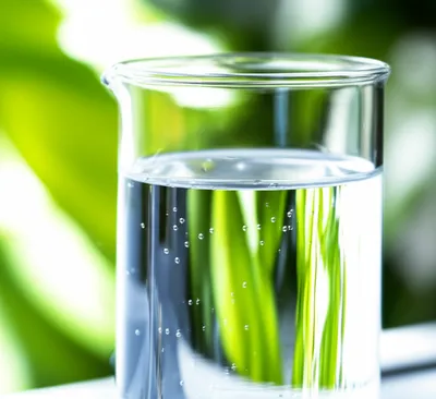 Illustration aqueous - Image 1