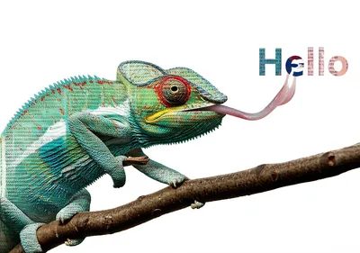 Illustration modification - Image 1