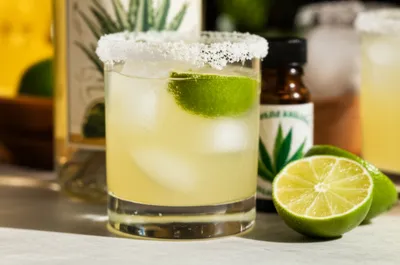 Illustration margarita