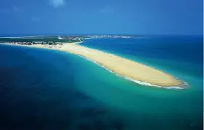 Illustration hook - Image 2