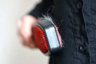 Illustration lint - Image 2