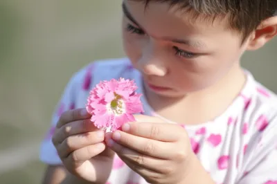 Illustration esteem - Image 1