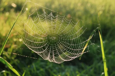 Illustration film - Image 1