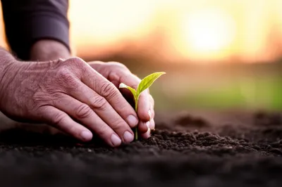 Illustration diligences - Image 1