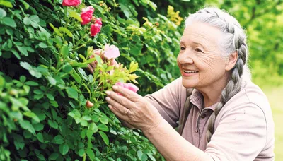 Illustration venerable - Image 1