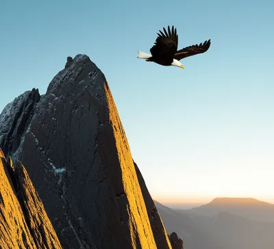 Illustration mounting - Image 1