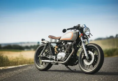 Illustration ped - Image 1