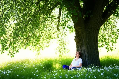 Illustration rests - Image 1