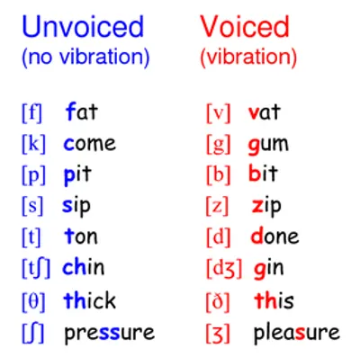 Illustration voice - Image 3