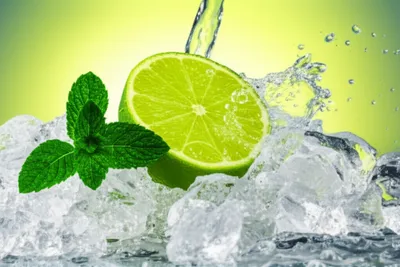 Illustration zinger - Image 1