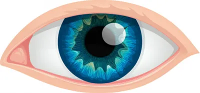 Illustration eye - Image 1