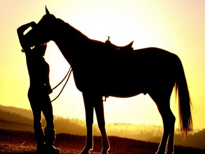 Illustration mounts - Image 1