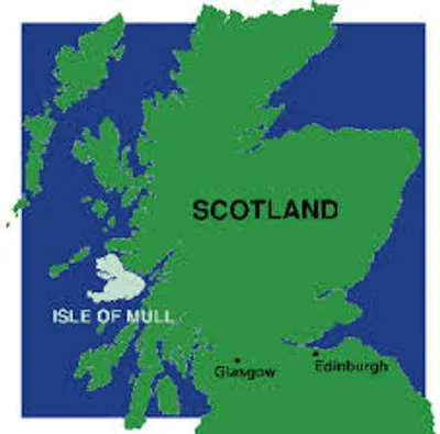 Illustration mull - Image 2