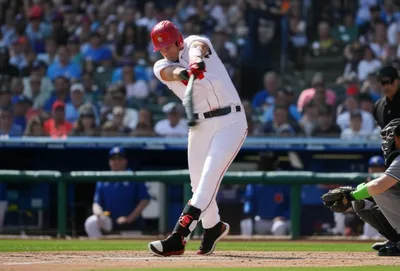 Illustration bats - Image 1