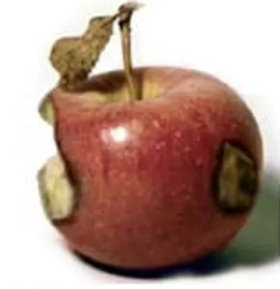 Illustration bad - Image 2