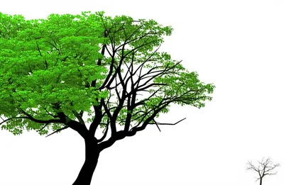 Illustration abbreviating