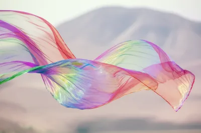 Illustration flowed - Image 1