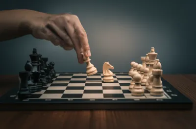 Illustration draws - Image 1