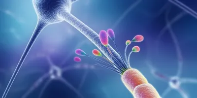 Illustration boutons - Image 1