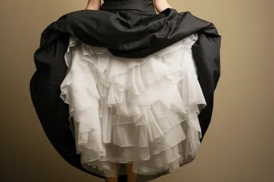 Illustration petticoat - Image 1