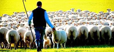 Illustration draughted - Image 1